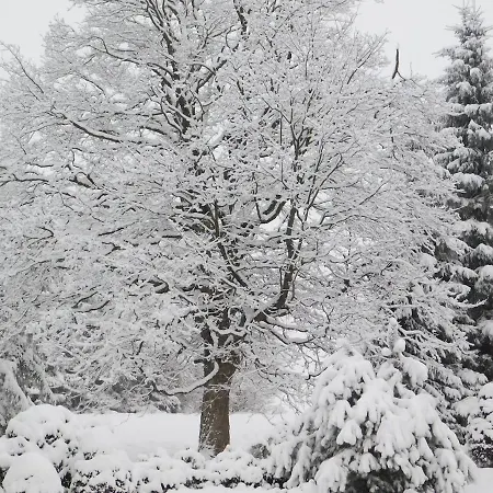 U Lesa Lodge Výprachtice
