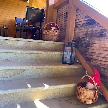 Lodge U Lesa Vyprachtice