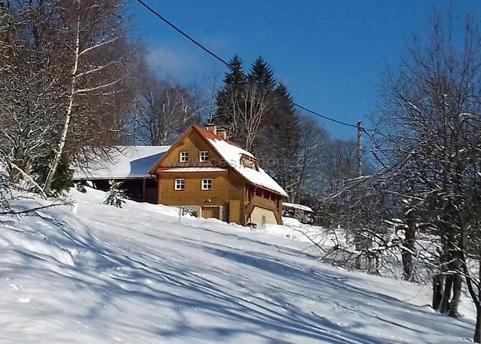 U Lesa Vyprachtice